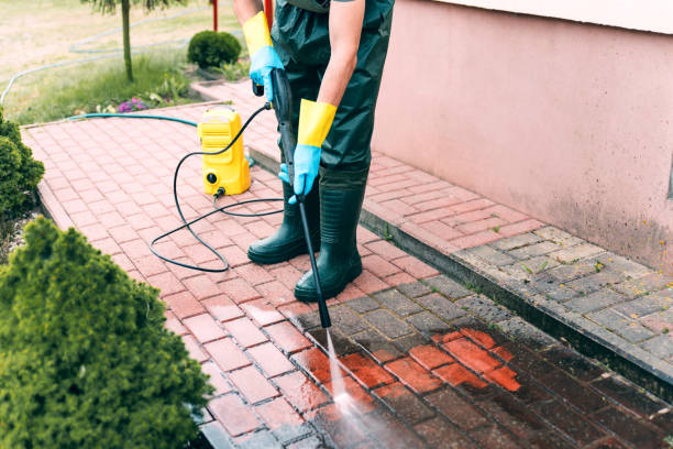 Best Local Pressure Washing Services  in Halsey, OR