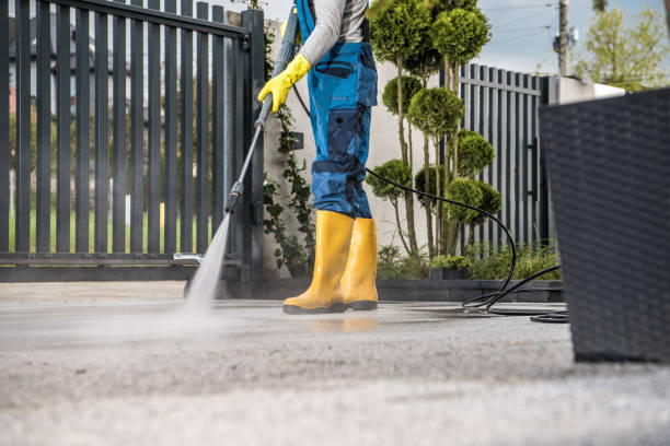 Best Residential Pressure Washing Services  in Halsey, OR